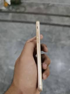 10/10