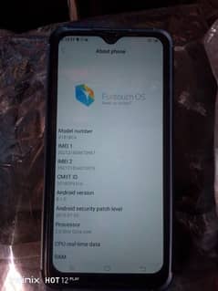 vivo