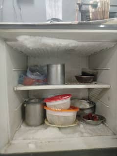 best option for 2nd hand fridge