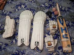 Cricket