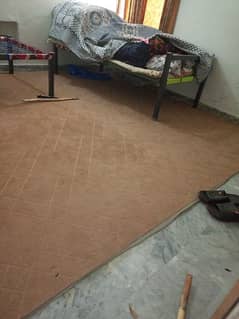 Carpet