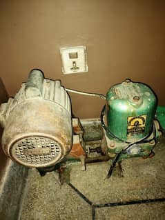 Golden Donkey Pump Motor