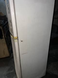 full size frige for sall