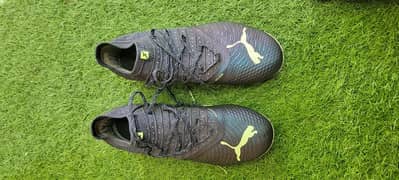 puma 7