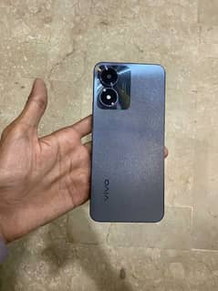 vivo