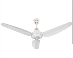 6 x GFC Ceiling Fans, One Season Used Only like New