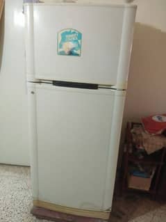 No Frost Refrigerator