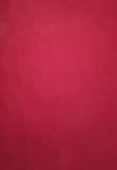 Used Carpet almost 14×10 size