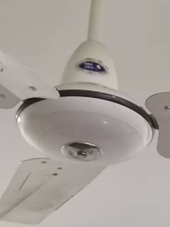 pak fan delux model 56inch