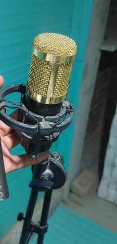 BM 800 condenser Microphone