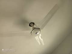 AC Fan