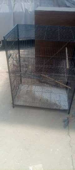 Cage For Sale