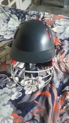 cricket