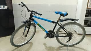 Turkish Made Bicycle