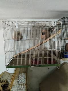 cages