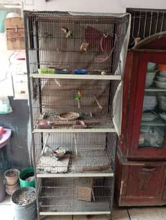 birds cage 4 portion