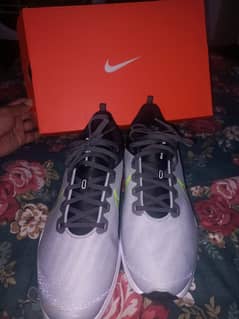 Brand New Nike Downshifter 12