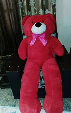 Teddy