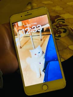 iPhone 8 plus Pta