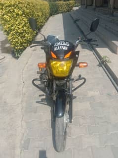 urgent sale Honda pardor