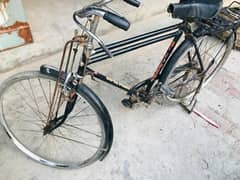 Sohrab Bicycle 22 Size