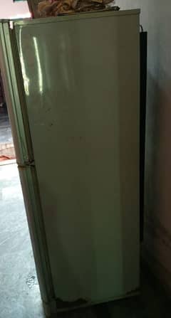 PEL fridge