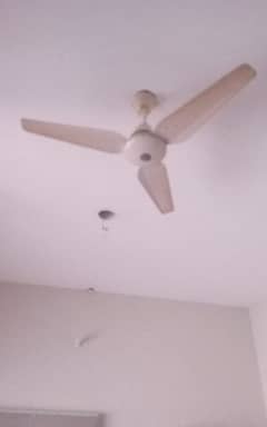 celling