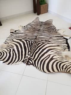 Cow Skins For Decoration