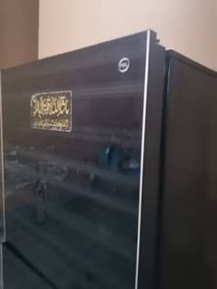 Reliable PEL 2-Door Glass Door Refrigerator for Sale