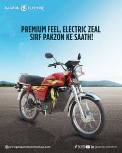 PakZon Electric PE-70LSE 2025