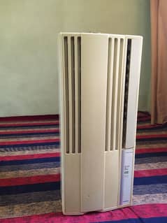 Window