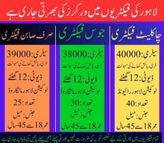 factory labour, factory work,need labour, packing staff
