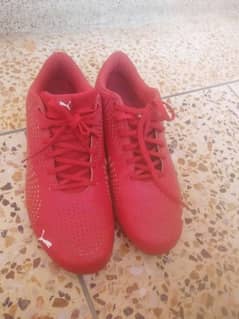 Puma original