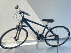 Japanese bicycle velo mod