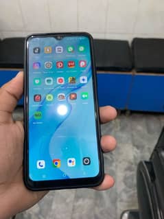vivo