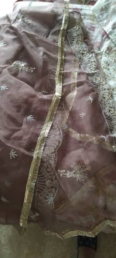 Organza