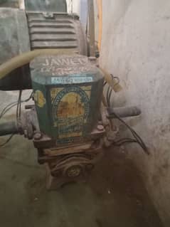 jawed