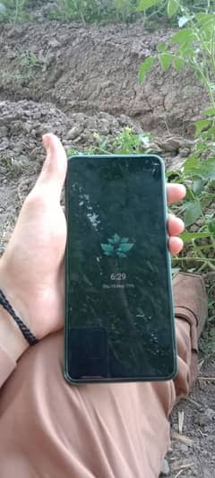 vivo y200 green color
