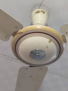 Alahmad fan