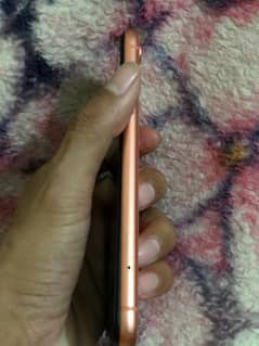 iPhone XR non pta