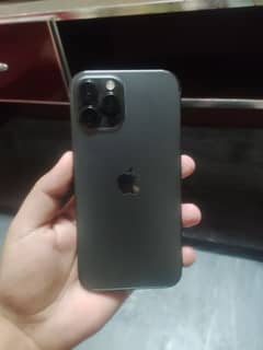 12 pro max