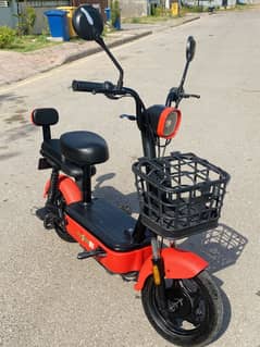 Evee flipper