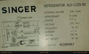 Singer