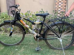 Cycle
