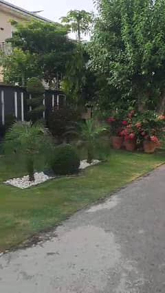 21 Marla All Dues Clear Prime Location Plot