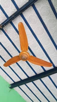 Ceiling Fan