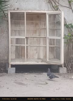 cage looking for new  home