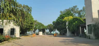 Hot Location 8 Kanal Farm House Land For Your Dream Farm House