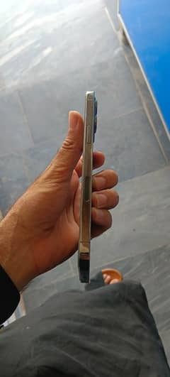 12pro max Lush