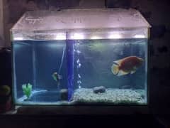 aquarium